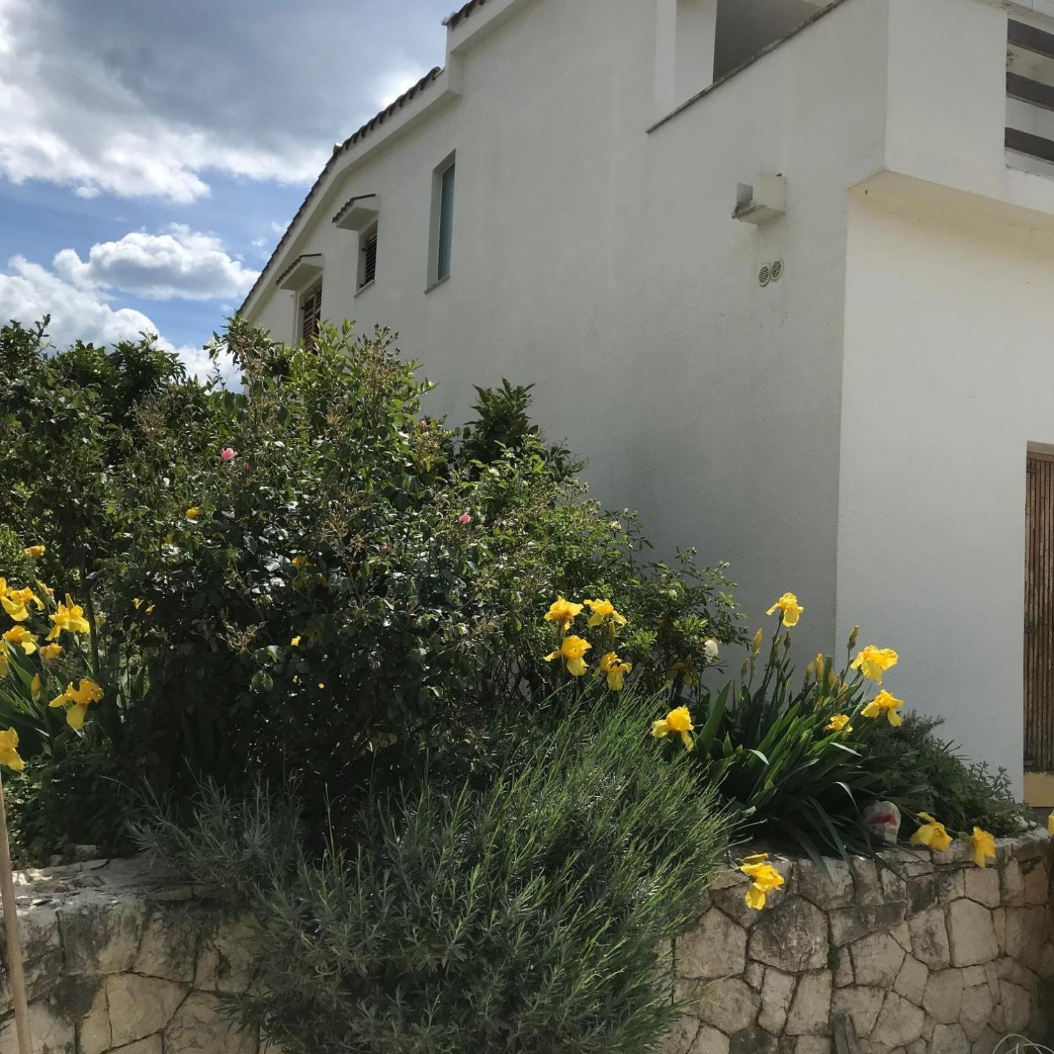 Six Bedroom Holiday Home Matea Ploce  Exterior photo